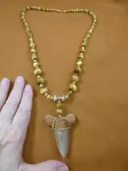 sr269-3) 2-3/4" Fossil AURICULATUS SHARK TOOTH brown tan Tigers eye 26" necklace