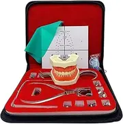 Dental Endodontic Rubber Dam Kit, Human Anatomical Model, Rubber Dam Punch Board Practice Tool, Dental Clip Tool Set, with 28 Teeth Model Positioning Plate Clamps Frames, for Dental Tool