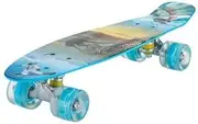 Retro Skateboard Mini Cruiser Plastic Fish Board Brush Street Traffic Single Tilt Four-Wheeled Fish Board Perfect Complete Board Vintage Skateboard