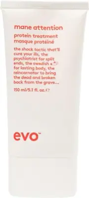 Evo Mane Attention Protein Treatment - Reconstructs, Repairs, & Strengthens H...