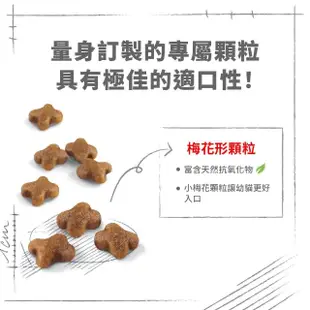 【ROYAL 法國皇家】幼貓專用飼料 K36 4KG(貓乾糧 免疫力 腸胃)