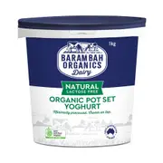 Organic Barambah Organics Natural Yoghurt Lactose Free 1kg – Fresh, healthy organic delivery | Doorstep Organics