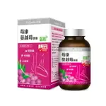 【康是美】YOCOME悠康｜莓康蔓越莓膠曩90粒 X2件組