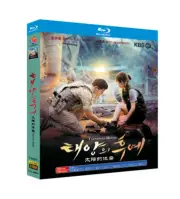 2016 Korean Descendants of the Sun English Subtitle Free Region Boxed