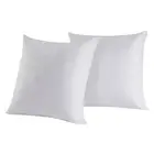 Set of 2 Feather and Down Pillow Insert, 12x12 Square Decorative Throw Pillow...