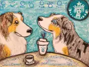 MINI AUSSIE at Starbarks ACEO PRINT Mini Dog Art Card 2.5 X 3.5 by Artist KSams