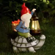 Gnome/Turtle Garden Decoration Outdoor Garden Sculptures & Statues Solar Lantern
