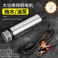 在飛比找露天拍賣優惠-電動抽油泵神器12v24伏柴油汽油通用油抽子小型抽水泵浦車載