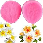 XMOLDNMS Plumeria Petal Silicone Mould Plumeria Flower Fondant Moulds for Cake Decoration Cupcake Topper Chocolate Candy Polymer Clay Gum Paste