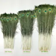 Beautiful 20-50 inches Natural Peacock Feathers with Big Natural Eyes 10-200 Pcs