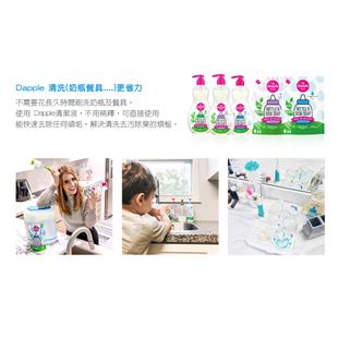 【美國 Dapple】天然奶瓶及餐具清潔液(無香精500ml) | 寶貝俏媽咪
