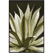 Belle Agave Wall Art 120x80cm Hanging Living Room/Bedroom Home Decor Rectangle