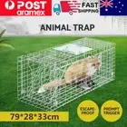 Extra Large Animal Trap Humane Cage Possum Fox Koala Rabbit Bird Cat