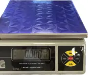 WS Weighing Scale 66 lb X 0.002 lb/ 30 kg x 1 g, Pan 12"x9", Brand New