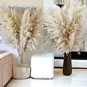 40" inch 30 Stems Natural Dried Pampas Grass – Tall, Large and Fluffy, No Shedding No Stench, 30 pcs Stems and 40" (100cm) Length, for Home, Office, Wedding and Events Decor