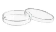 Eisco Labs Disposable Polystyrene Petri Dish with Lid, 90x14mm - Sterile