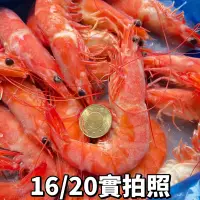 在飛比找蝦皮購物優惠-【阿珠媽海產】［超級鮮甜］熟白蝦 1.1kg 16/20 2