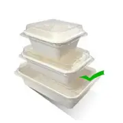 18oz(532ml) Takeaway Serving Tray Sugarcane 500 pcs