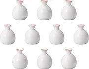 Set of 10 Sakura Ryu 2 Gotokuri [350cc] | Tokuri Setomonohonpo