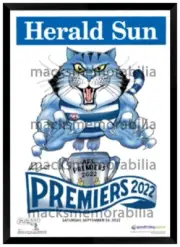 2022 AFL PREMIERS GEELONG CATS MARK KNIGHT GRAND FINAL FRAMED MEMORABILIA
