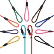 11 - Piece Set! Ultra - Strong Nylon Slip Lead Dog Leashes in 11 Stunning Col...