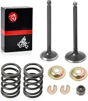 Intake Exhaust Valve & Seal Spring Rebuild Kit For YAMAHA Golf Cart G11 G16 G20 G22 G23 G27 G28 G29 A YDRA 1996-2011