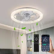 Ceiling Fans with Lights and Remote, 15.7 Inch Low Profile Flush Mount