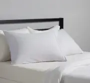 Amazon Basics Set of standard Size pillowcases 20” X 30”