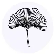 24 x 40mm Round 'Ginkgo Leaf' Stickers (SK00012895)