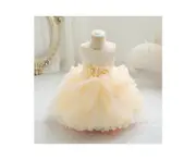 Baby Girl Floral Princess Dresses Girls Dresses Birthday Party Lace Dresses-champagne