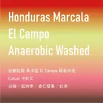 【宏都拉斯】HONDURAS EL CAMPO 厭氧水洗【風潮精品咖啡豆/濾掛】