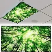 Patelai 4 x 2 Feet Fluorescent Light Cover for Ceiling Classroom Magnetic Cubicle Shade with 10 Magnets Fluorescent Light Filters for School Home Office Drop Lamp Decor(Forest)