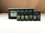 Pure Essential Oil, Therapeutic Grade, Aromatherapy / Massage Oil Gift box pack of 6 for Diffuser Humidifier Perfume Oil Herbal Collection: Lemongrass, Eucalyptus, Rosemary, Mint, Argy Wormwood Leaf, Tea Tree (10ml)