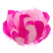 Colorful Feathers 3-5inch, 300pcs Goose Feathers Bulk, Pink/Fuchsia