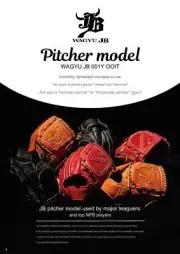 WAGYU JB glove [JB-001Y] for hardball pitcher japan Throws right/throws left
