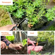 Weed Puller Tool Manual Uprooting Weeding Tool Hand Weeder Tool 4 Teeth paqti