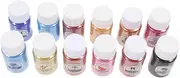 PHENOFICE Multi-function Mica Power 12 Bottles Set Drawing Pigment Resin Crafting Diy Painting Nail Art Cosmetics Rich Coloring