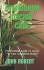 Cymbidium Orchid Care: The Essential Guide To Caring For Your Cymbidium Orchid b