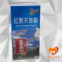 在飛比找蝦皮購物優惠-杏輝B群紅景天強化軟膠囊 60粒