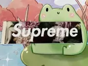 Supreme PCL Box Logo sticker SS13 New Power Corruption Lies BOGO