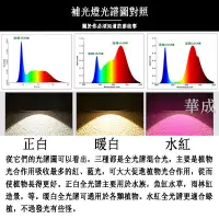 在飛比找樂天市場購物網優惠-蘭花卉植物補光燈仿太陽全光譜多肉上色生長光合作用綠植照射燈架