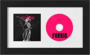CD Frame 6.3X11.8 Inch with 2 Double Sided Mats, Classic Display Case