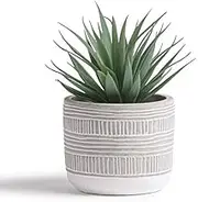 Kurrajong Farmhouse 20cm high Faux Plant in Pot - Life-Like Artificial Plant - Faux Succulent Potted - Small Artificial Succulent - Fake Plant with Pot