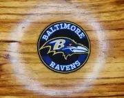 3 inch circle Ravens - embroidered iron on patch. No sewing needed.