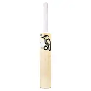 Ghost Pro 4.0 Junior's Cricket Bat