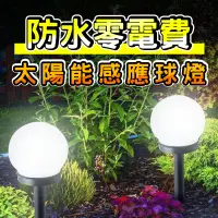 在飛比找蝦皮購物優惠-【今川選物】LED太陽能感應燈球 感應燈 太陽能 LED 庭