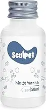 1DFAUL 50ml Air Dry Clay Varnish Glaze Sealant, Scratch Resistant Wear, Prevents Cracking, Waterproof, Matte Finish (Matte Varnish)