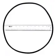 Astral 4404210302 O-Ring for Filter Tank