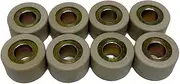 Super Weight Roller, 0.8 x 0.5 inches (20 x 12 mm), 0.5 oz (15 g), Signus X, Majesty, Axis Street, Pack of 8