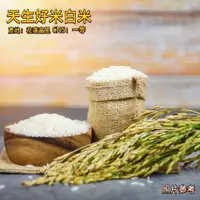 在飛比找蝦皮購物優惠-【Rice】花莲富里天生好米白米  CNS一等梗型食用米 （